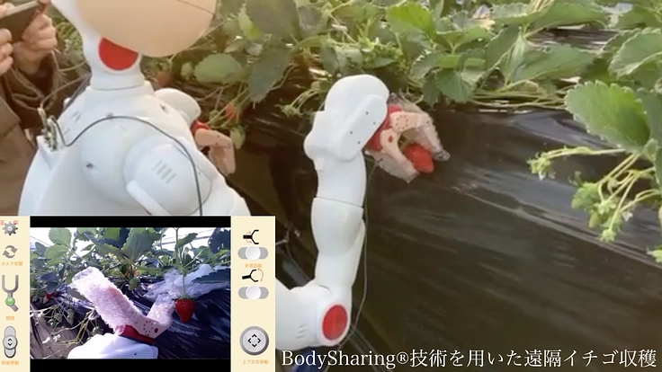 常陸大宮市から、BodySharing技術で農福連携の輪を! 2枚目