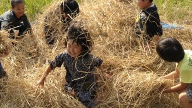 こどもアートの活動”asonabi”をまとめた本を作りたい！