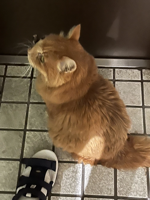 今年もよろしくお願いします！