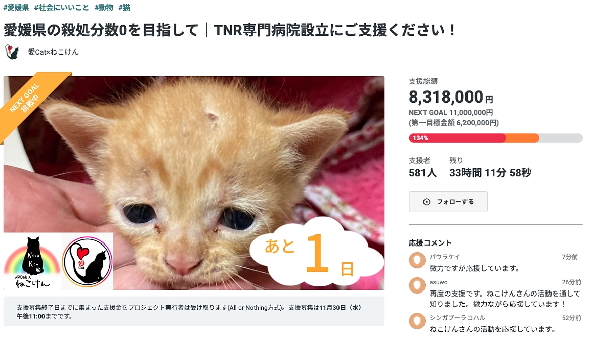 ねこけんさん×愛catさんのプロジェクトご紹介