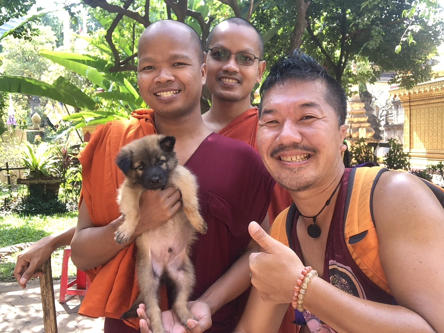 お寺で出会った両手を動かせない仔犬を病院に連れて行きました！