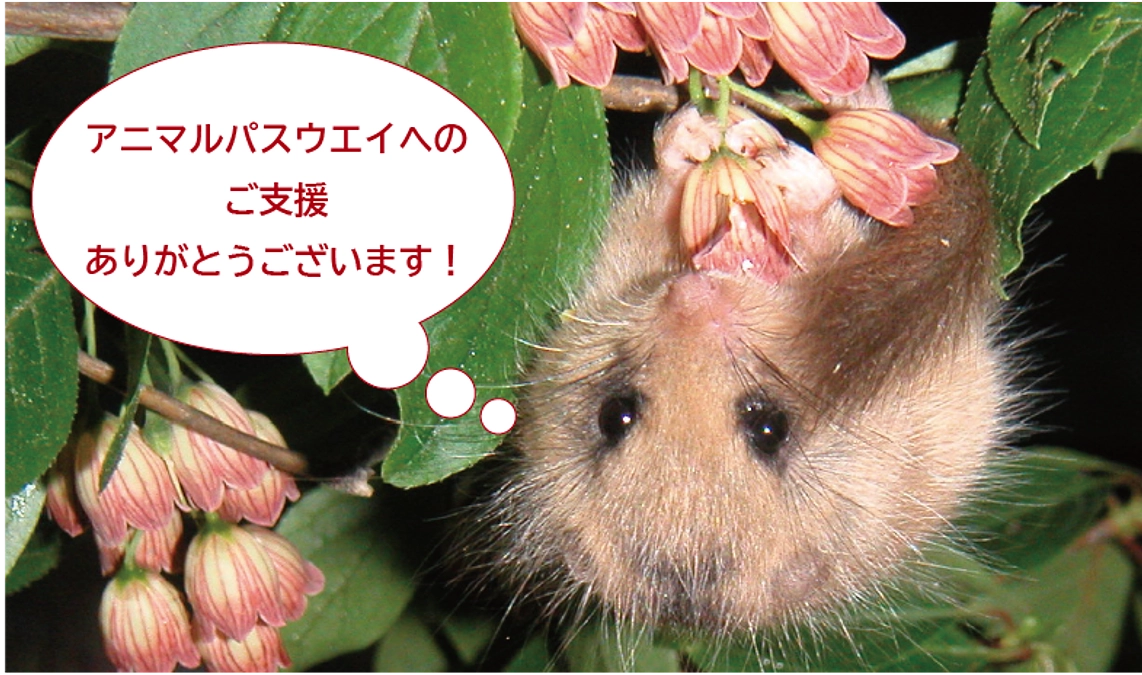 【本日最終日】達成まで残りわずか！最後の一押しのお願い