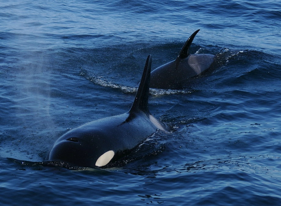 【御礼，そしてあと6日！】