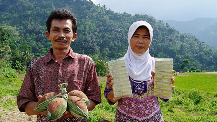 熱帯雨林の恵みで村おこし　ヤシ砂糖を使った生姜湯を作ろう！
