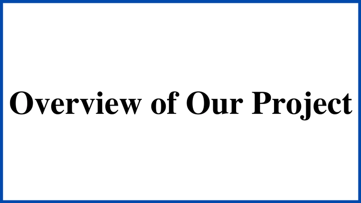 Overview of Our Project