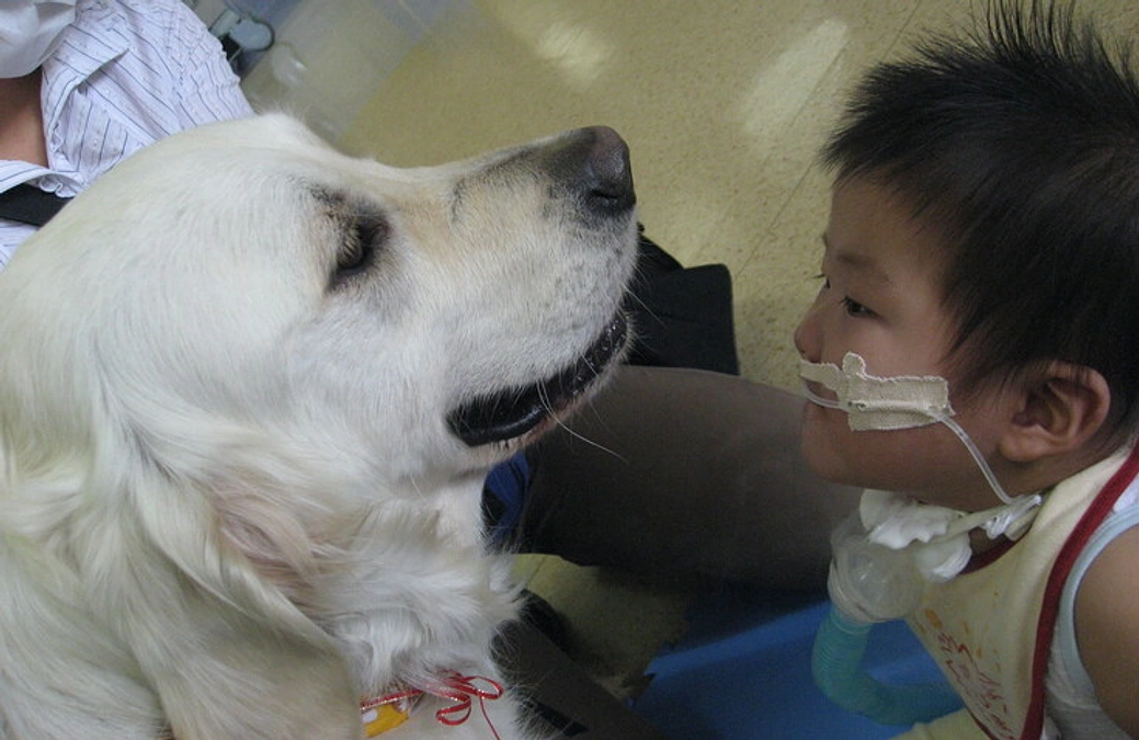 媒体掲載のお知らせ