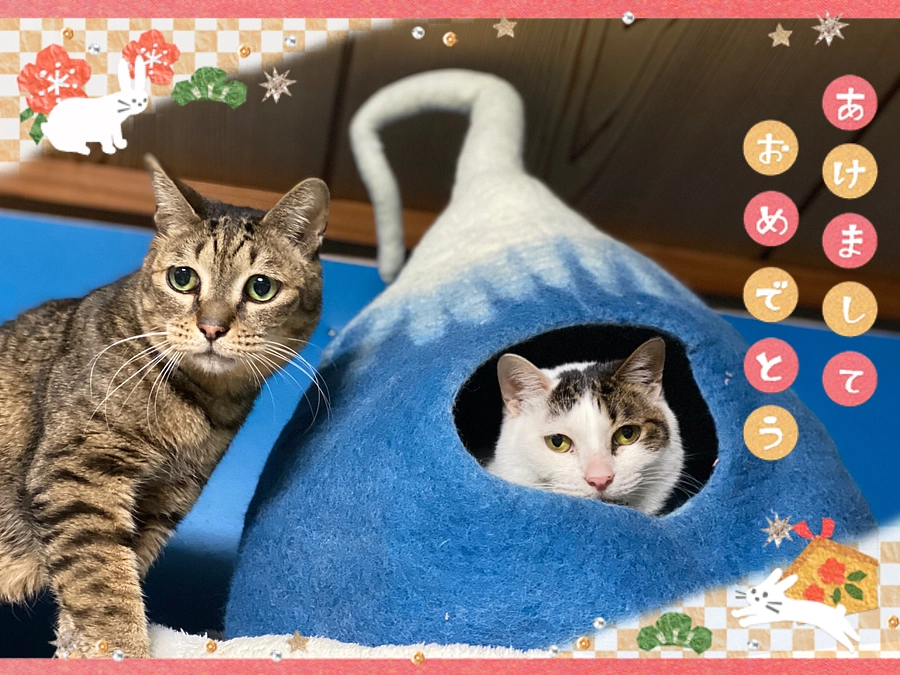 ★ 新年あけましておめでとうございます