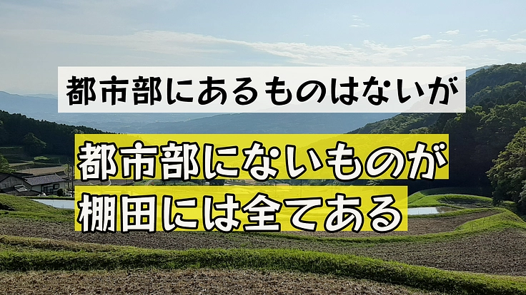 伊万里に子どもたちが遊べる田んぼテーマパークをつくりたい 3枚目