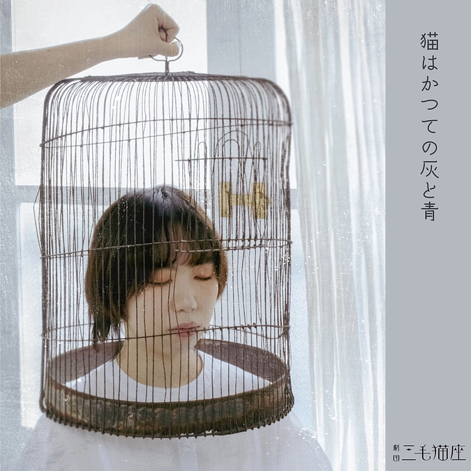 文化芸術関係者からのお礼のメッセージが届いています！