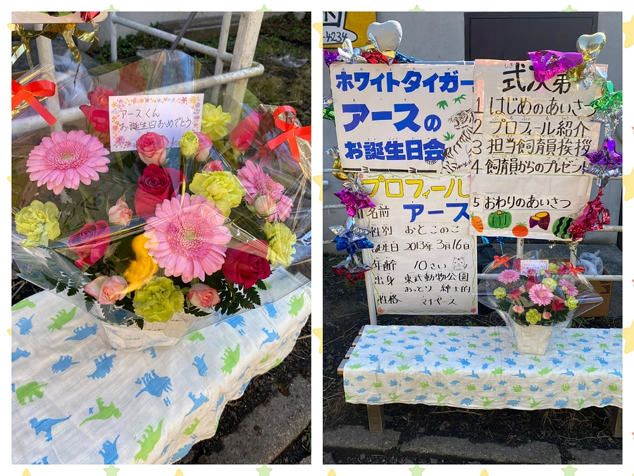 【✨#支援で推し活✨】たくさんのご支援ありがとうございました！