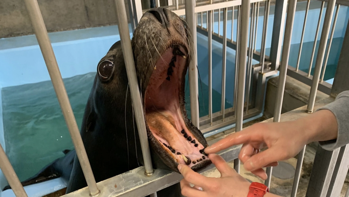 【残り６日！!】応援ありがとうございます！