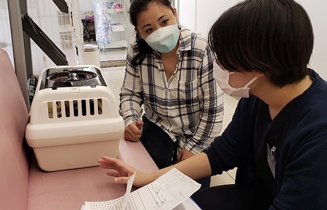 ★小田原多頭猫さん、只今、動物病院通い順番待ち