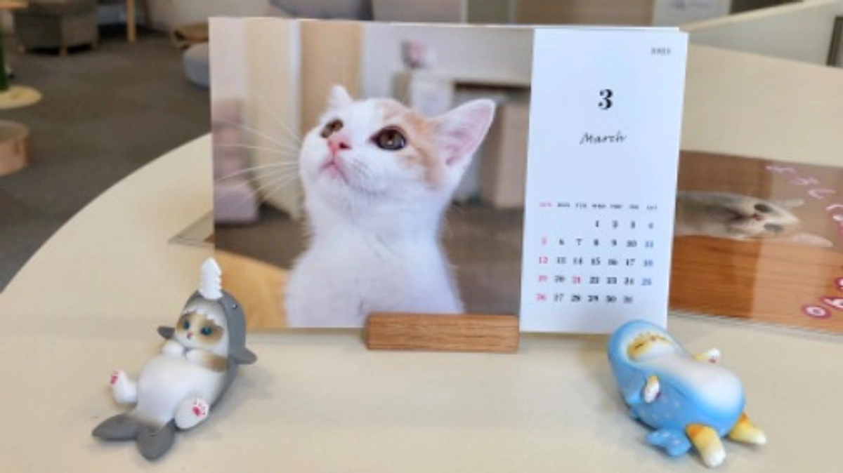 ラストスパートに向けてリターンを追加しました。