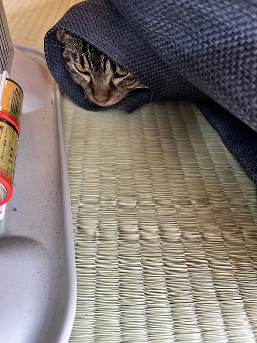 トライアル！知多ちゃんと上五島へ