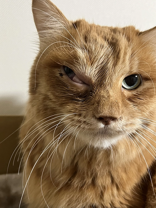 アメブロ更新です。