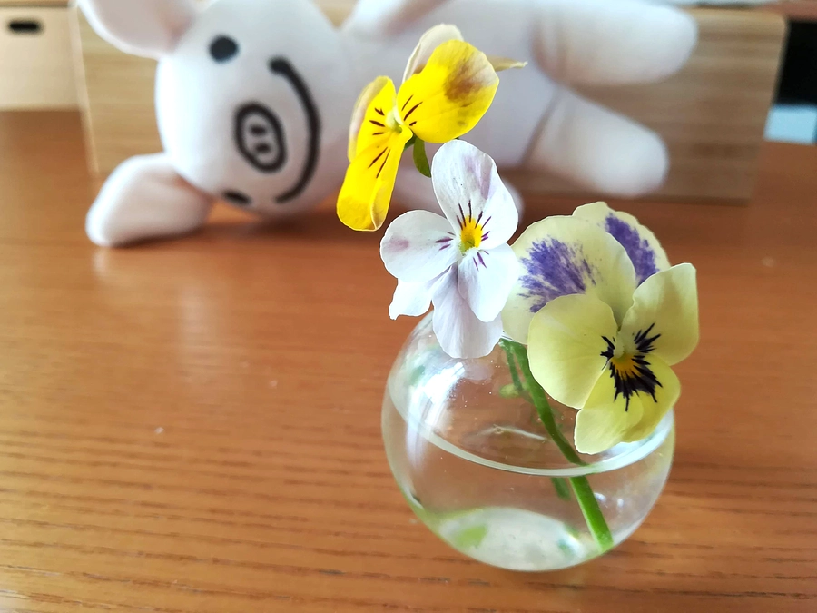 【応援メッセージ#5】イラストレーター松坂夕子さん