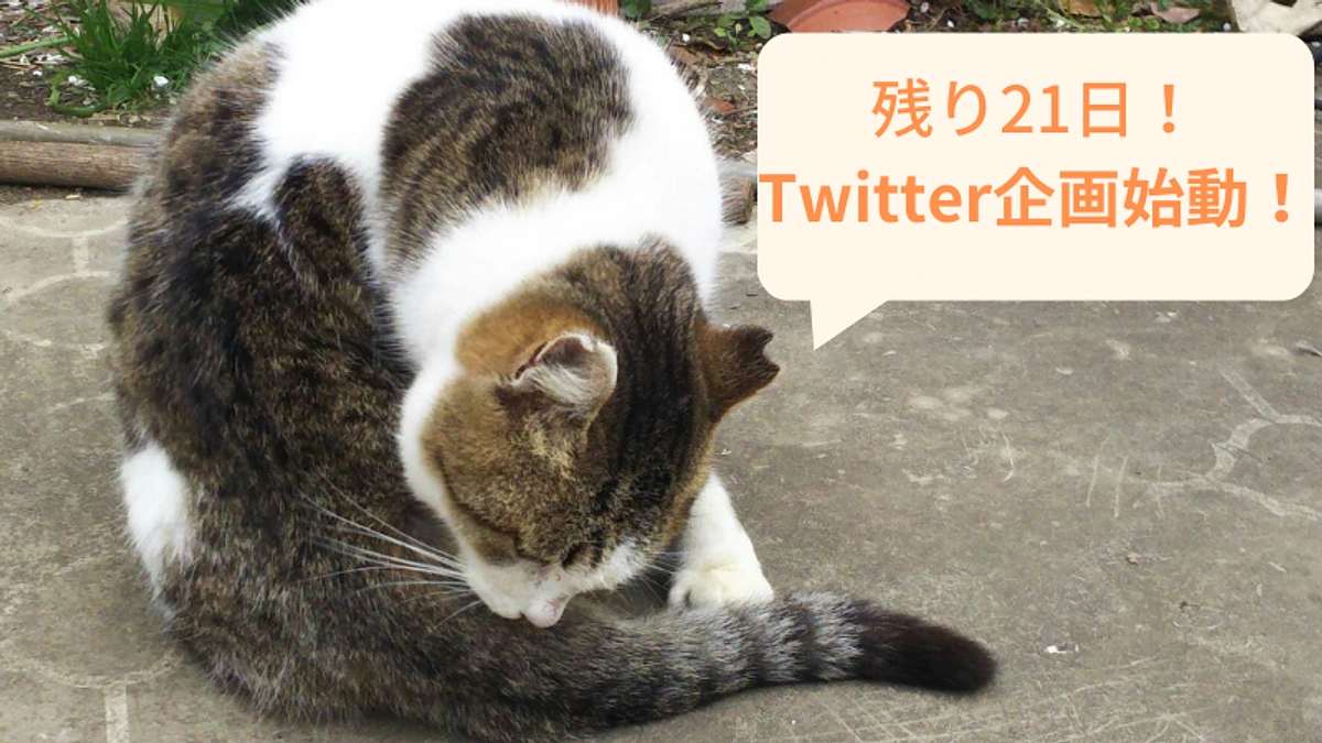 終了まで残り19日！Twitter応援企画スタートします！