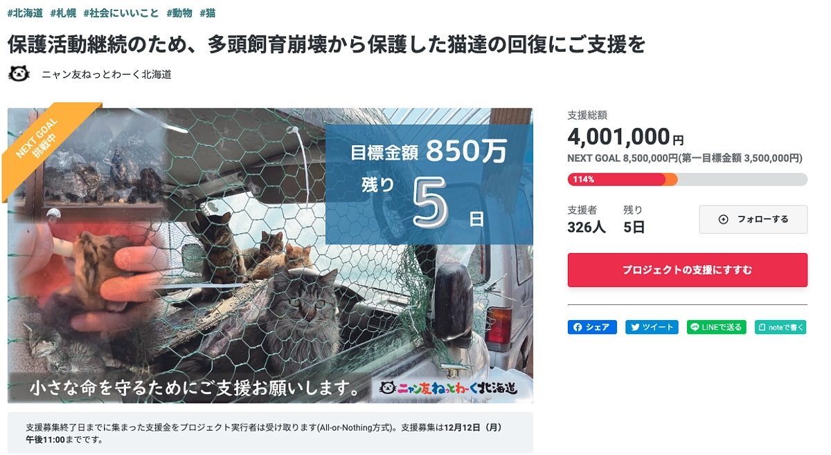 にゃん友ねっとわーくさん、ネクストゴール挑戦中です！