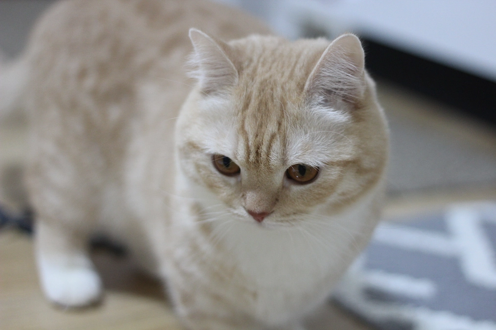 目標達成しました🙇‍♀️