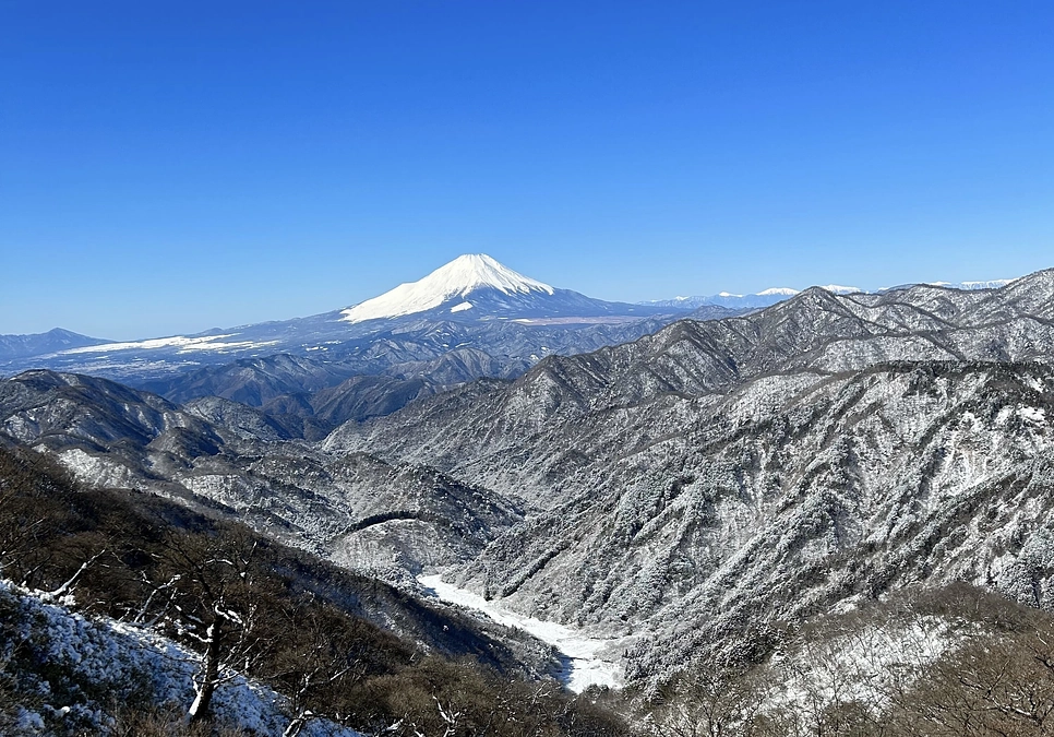 開始から1週間！多くのご支援ありがとうございます。