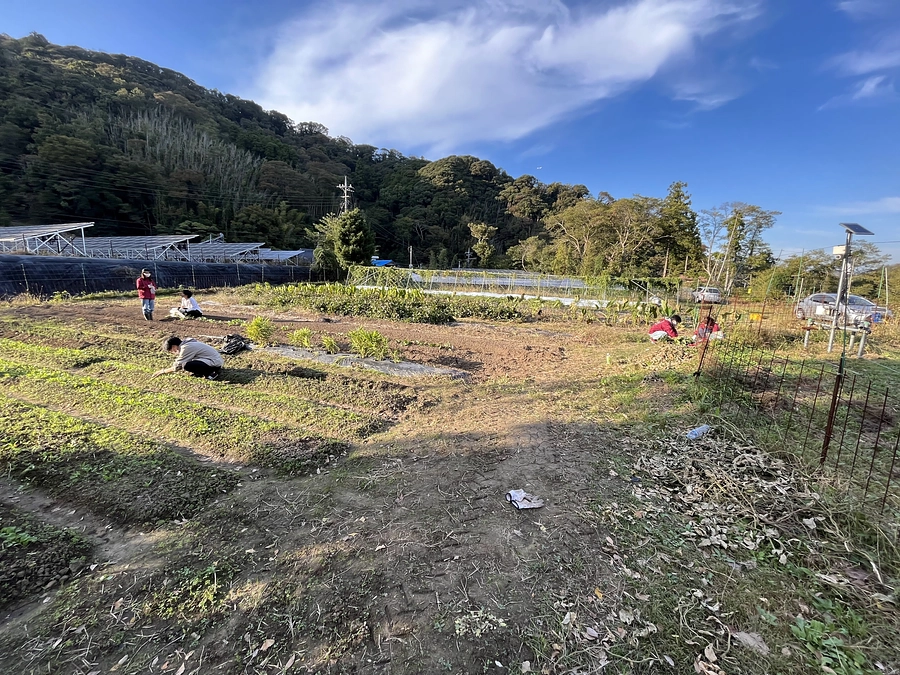 むら塾生の富津市訪問日記