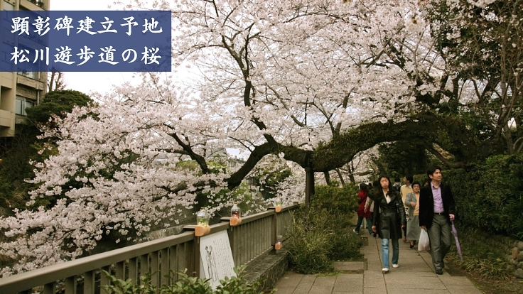 北里柴三郎博士が功績を残した伊東の地に顕彰モニュメントを建立したい 3枚目