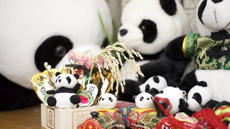 日中100人の友達ができるシェアハウス「ぱんだハウス」を浅草に!