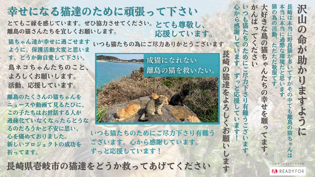 【30％超えました！】皆さまからの応援コメントをご紹介します