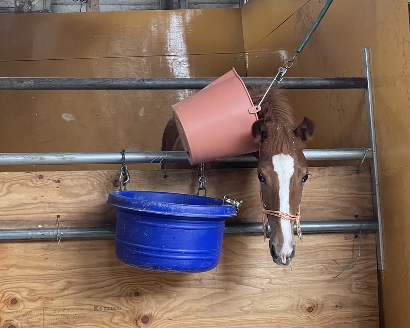 リターン発送完了の件