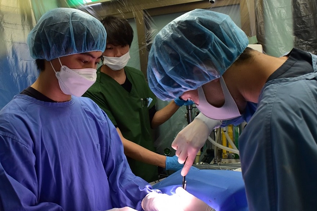 【経過報告】無事、オペが完了致しました