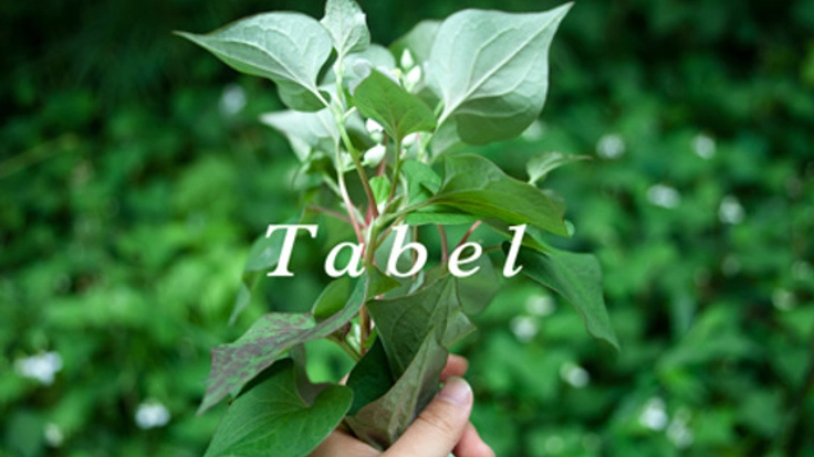 身体を慈しみ、地域を活かす国産薬草茶を作りたい！