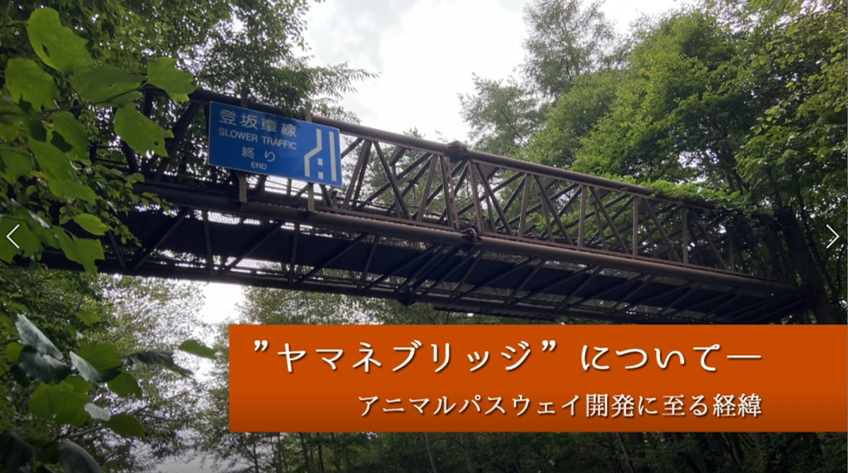 アニマルパスウェイ開発ものがたり　エピソード1　プロローグ