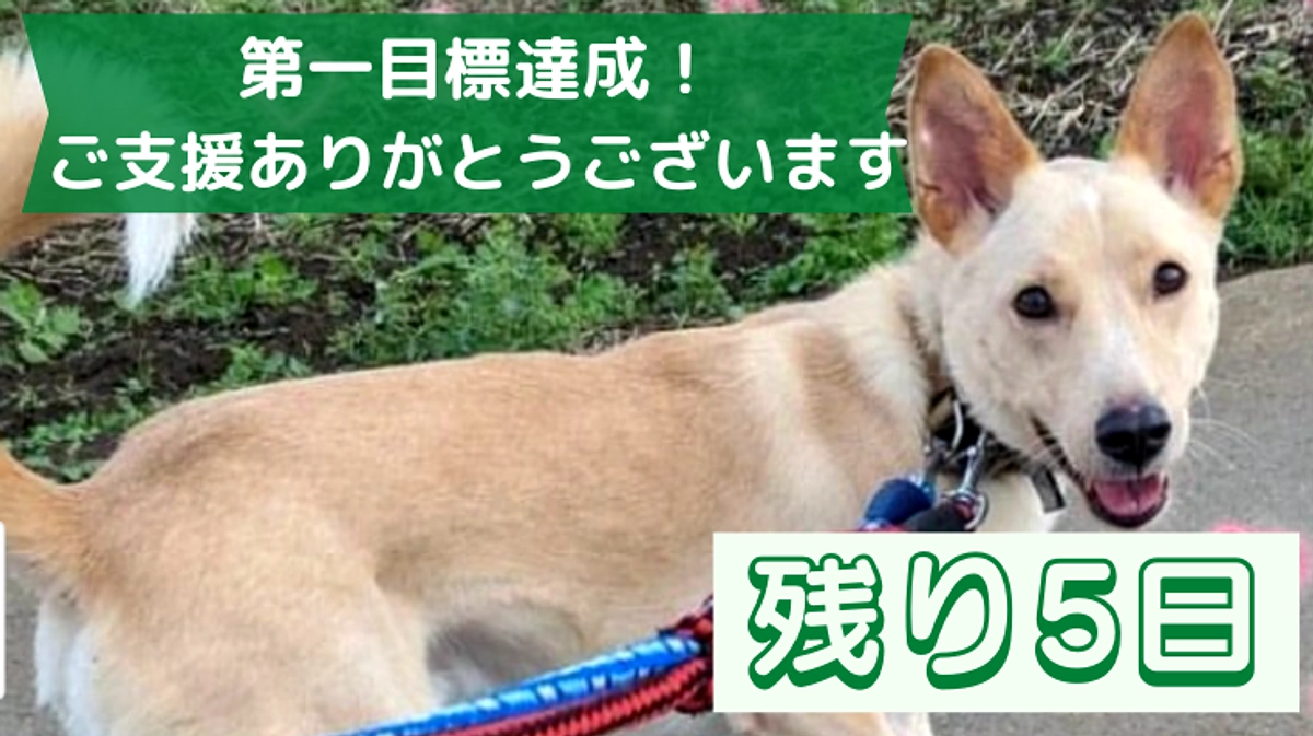 第一目標を達成しました！ご支援ありがとうございます！