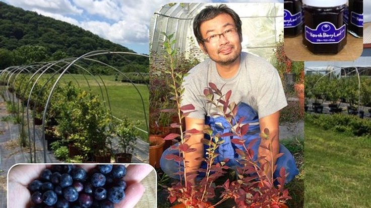 日本初！厳冬期にブルーベリーを育て出荷することに挑戦したい！