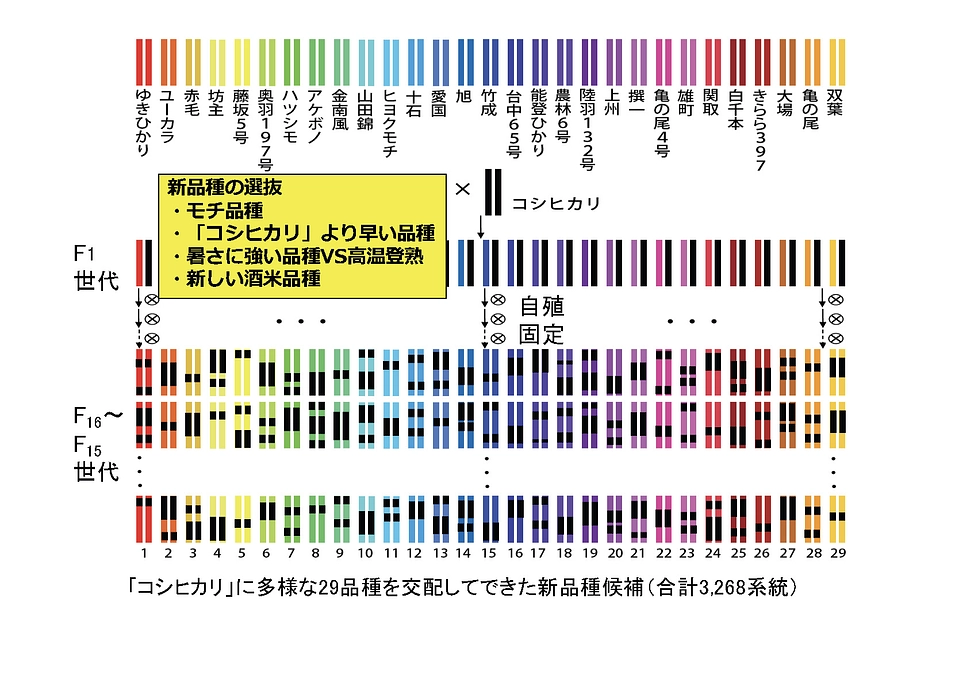 【あと4日】新品種の名付け親になって下さい！