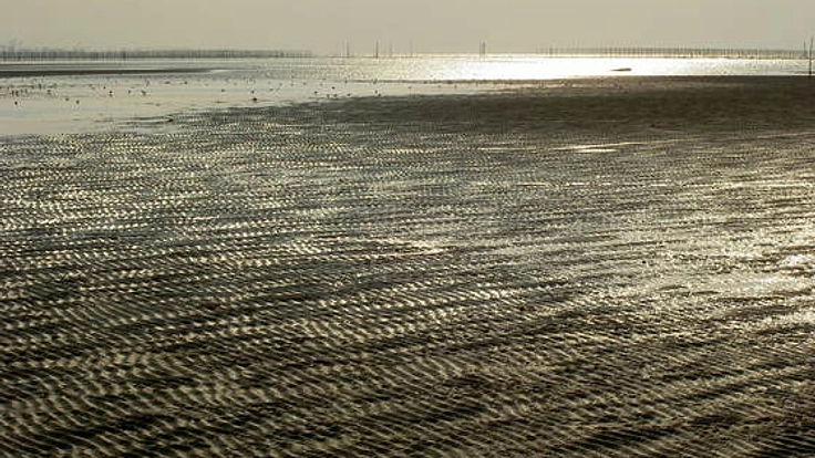 東京で諫早湾演劇「有明をわたる翼」を上演したい!