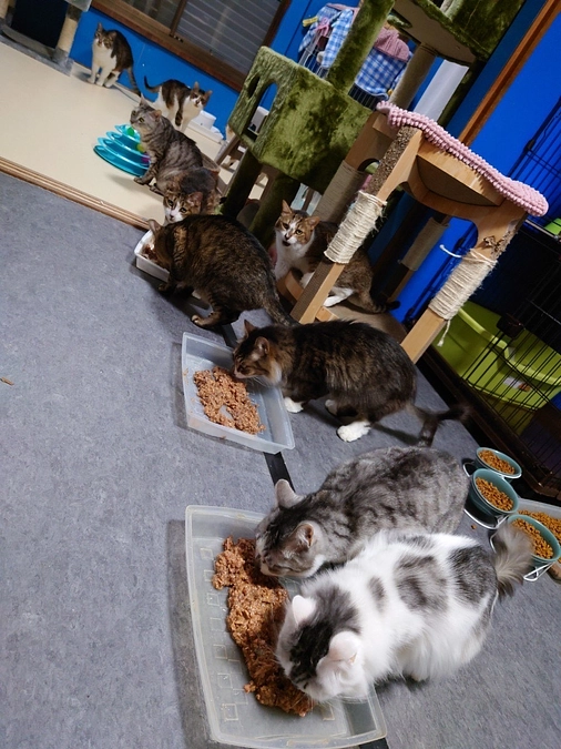 ★ ご支援物資ありがとうございます。