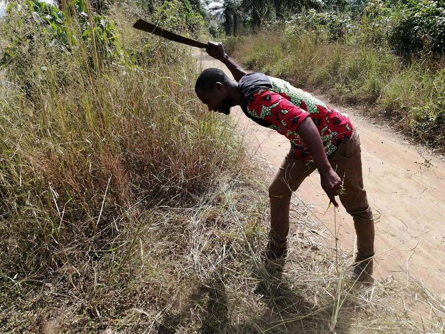 土地に車でアクセスするための道を切りひらきました！