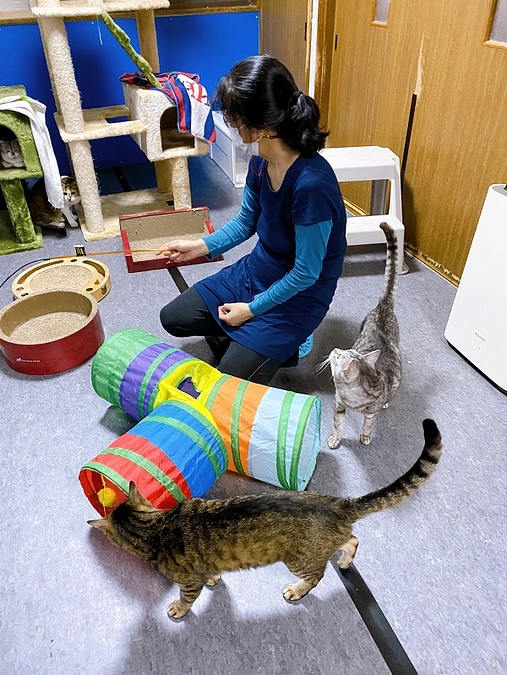 ★お安めのパソコン購入しました。