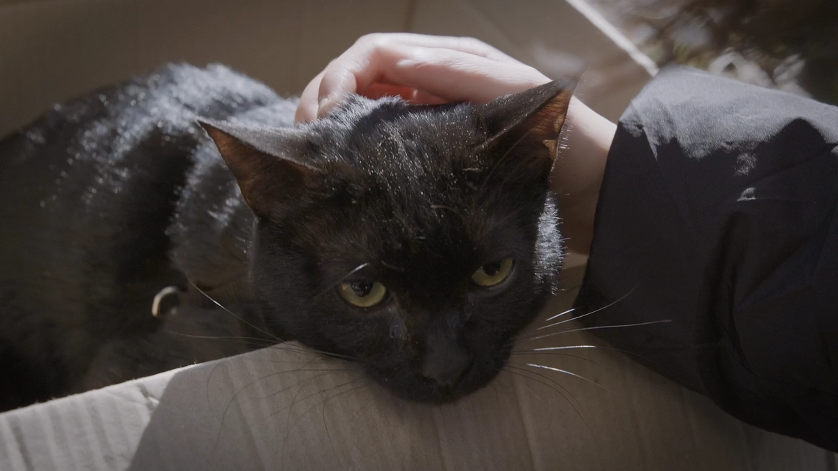 今年はどうもありがとうございました！