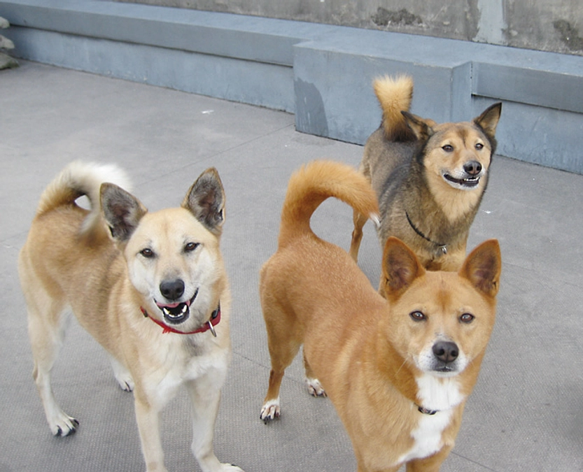 マザールーフのクラウドファンディングがいよいよ開始しました！