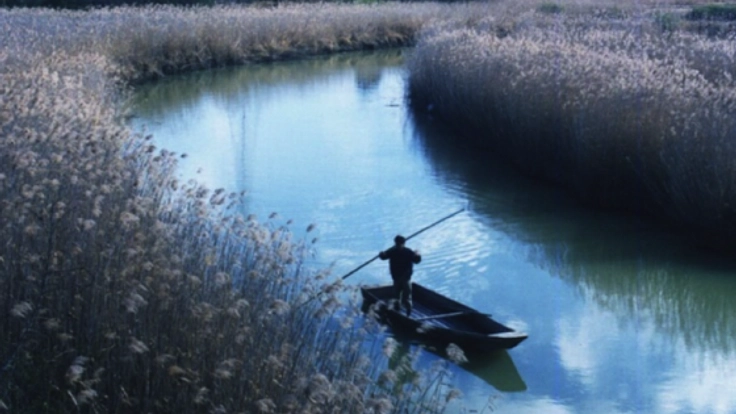 伝統的漁法の伝承！シジミ貝の復活と三枚網漁法での生物調査実施