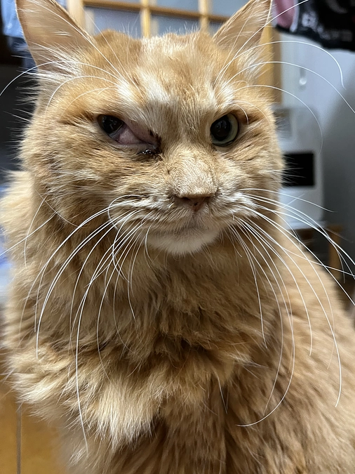 すこ〜し、効いてるかも？