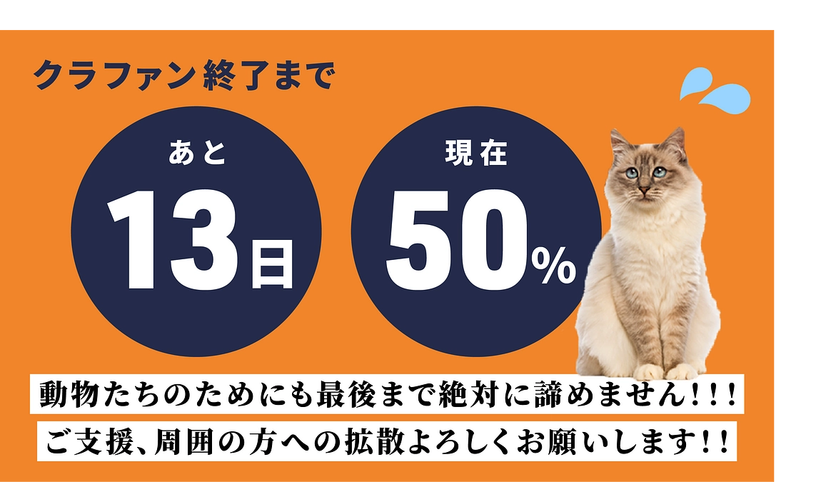 【50%達成】ここからが勝負です！！！