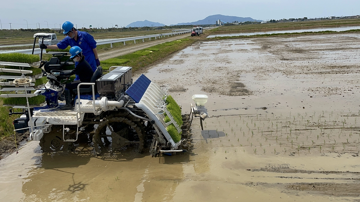 長谷川先生より、応援メッセージいただきました！