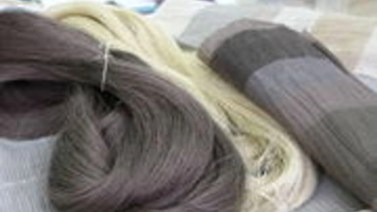 キモノ講座を開催し、重要無形文化財に触れる機会を作りたい