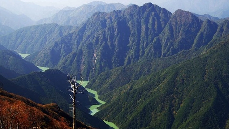 吉野・熊野地域『よしくま』の魅力を世界中の人に伝えたい！