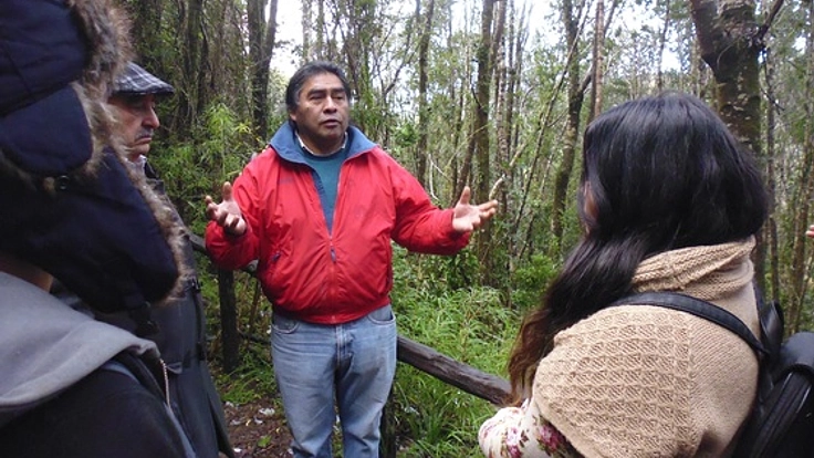 チリ先住民の森と伝統を守るため自生する海藻から薬を作りたい