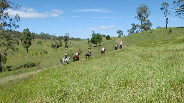 プロジェクターを購入し、乗馬旅行の魅力を動画で伝えます！