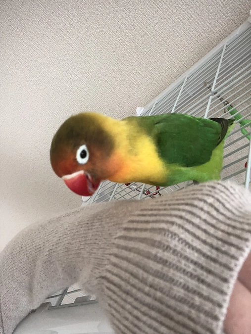 終了まで残り３２日になりました👏🏻